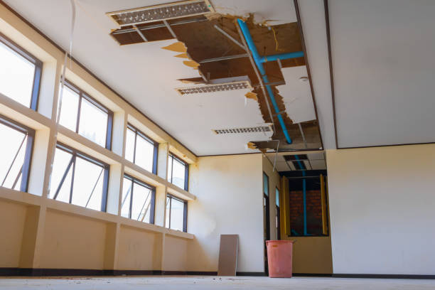 Best Water damage restoration near me  in Vamo, FL