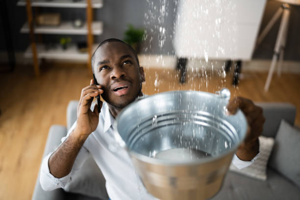 Best Local water damage restoration  in Vamo, FL