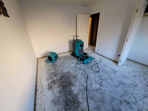 Best 24-hour water damage restoration  in Vamo, FL