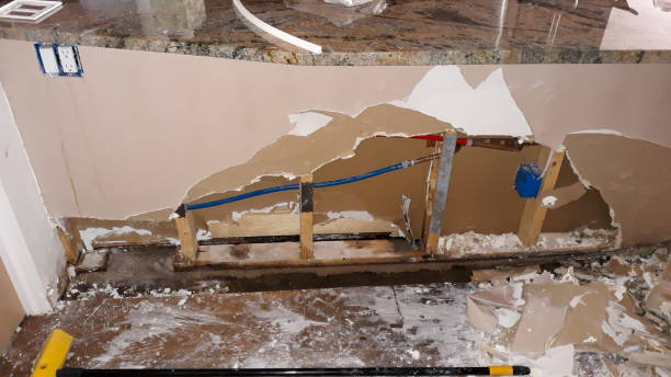 Water damage restoration experts in Vamo, FL