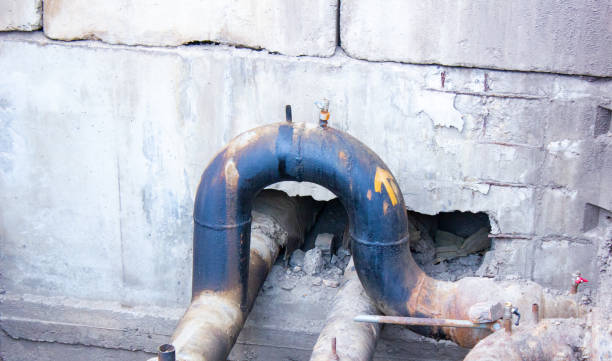 Best Basement water damage restoration  in Vamo, FL