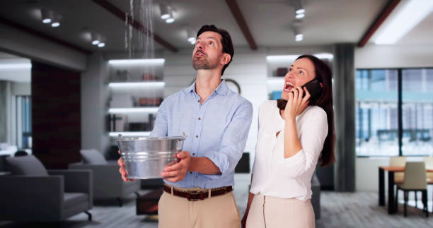 Sewage cleanup and water damage restoration in Vamo, FL
